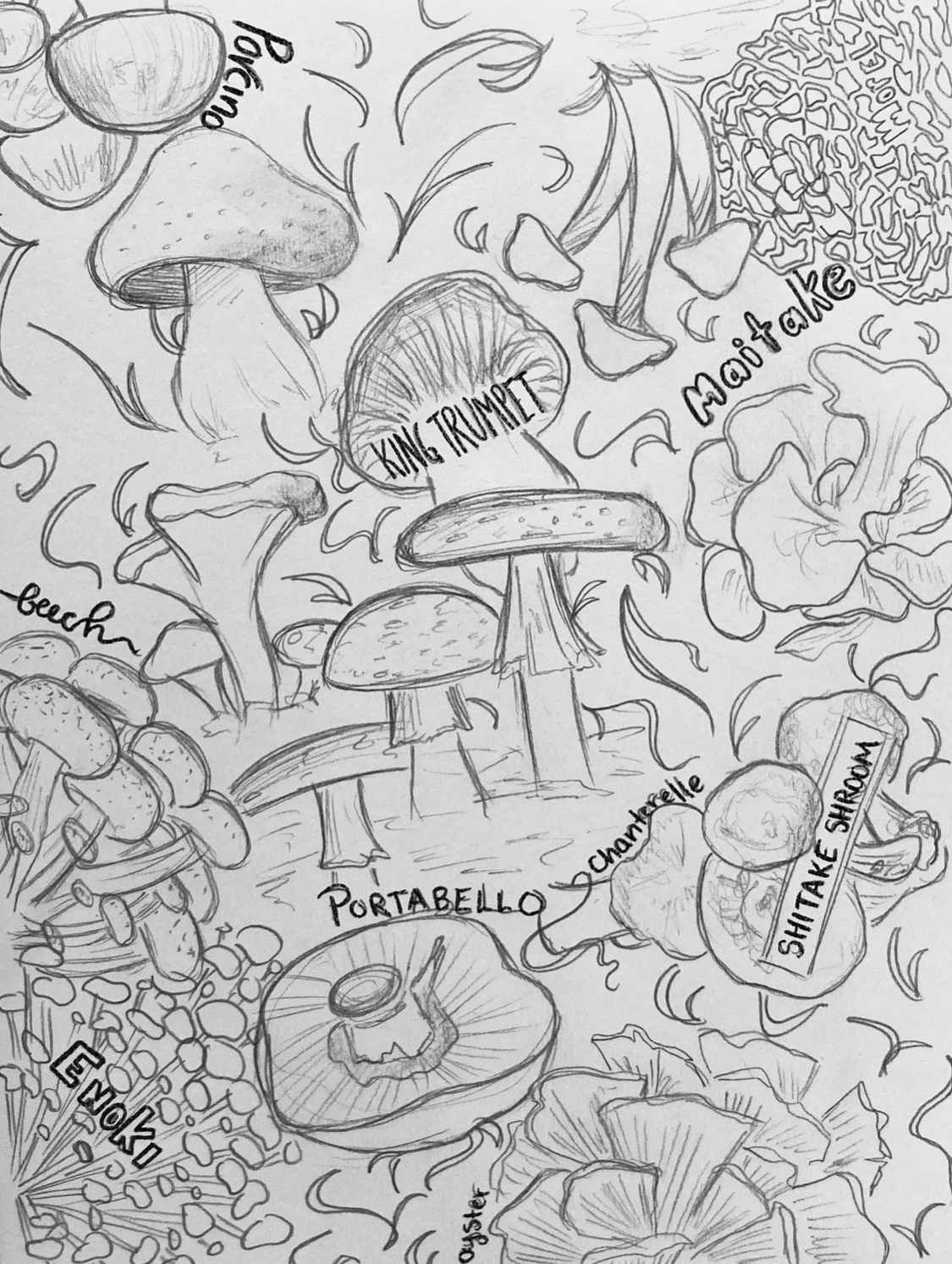 Mushrooms